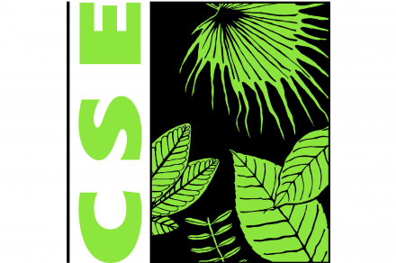 CSE India's New Report Shows How Global South Can Minimize the CBAM Impact